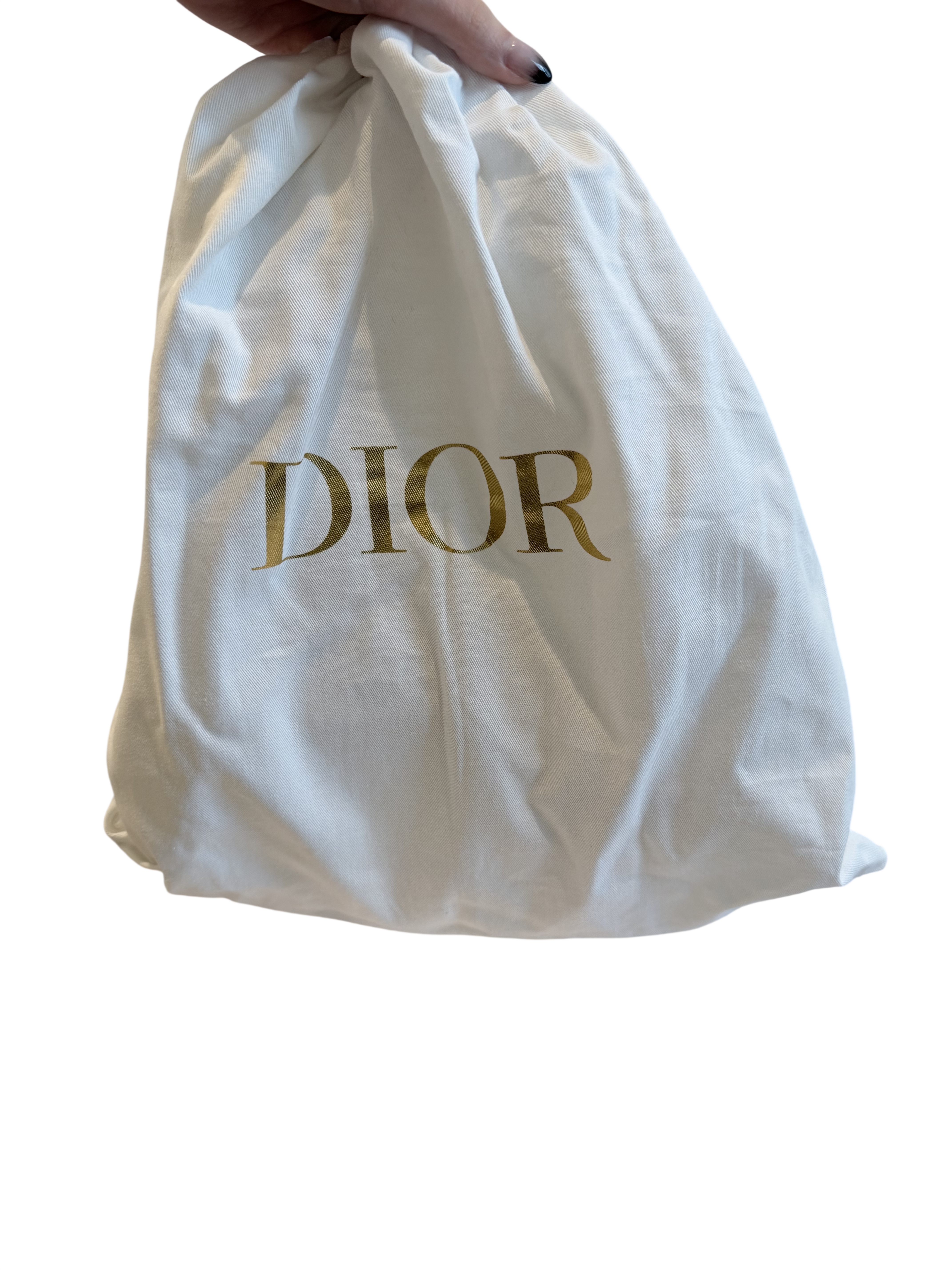 Dior Dior Newspaper Saddle Bag