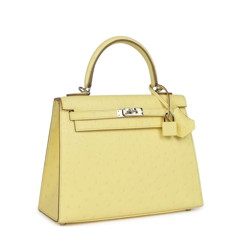 Hermès Kelly 25