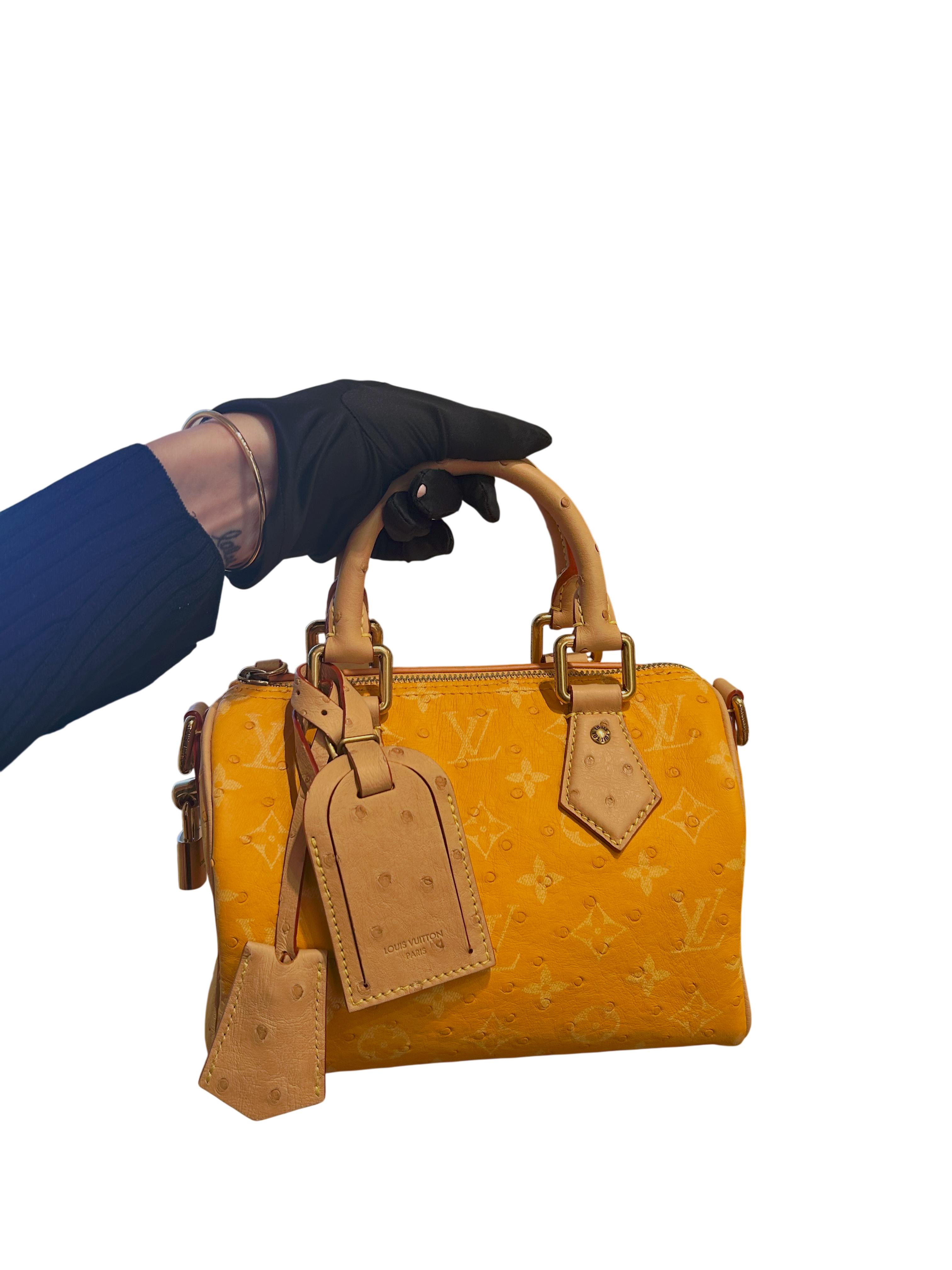 Louis Vuitton Limited Edition - Speedy P9 25