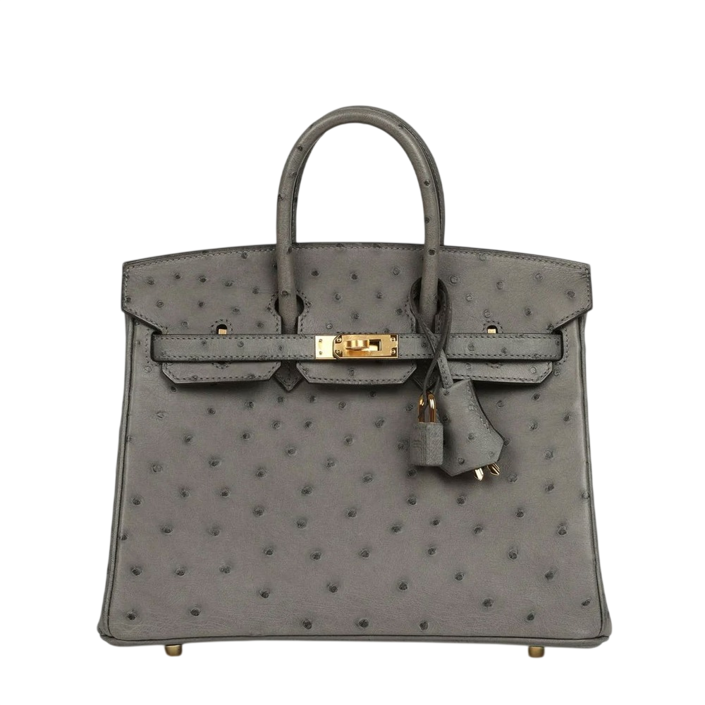 Hermès Birkin 25