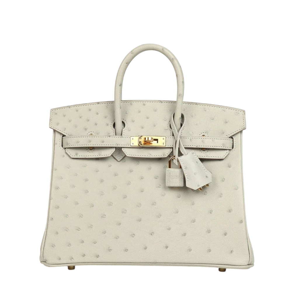 Hermès Birkin 25
