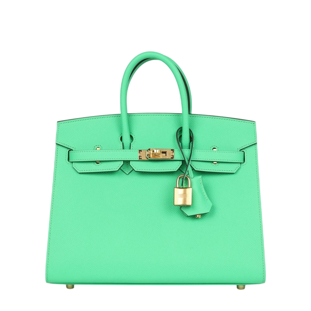 Hermès Birkin 25