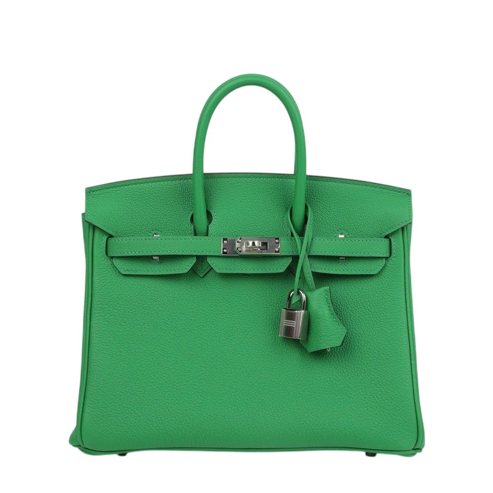 Hermès Birkin 25