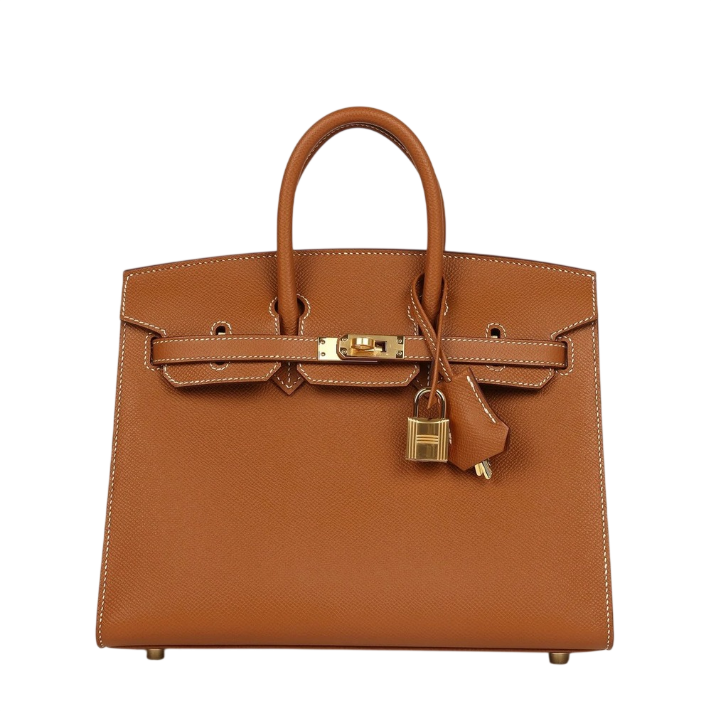 Hermès Birkin 25