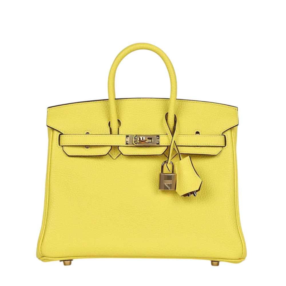Hermès Birkin 25
