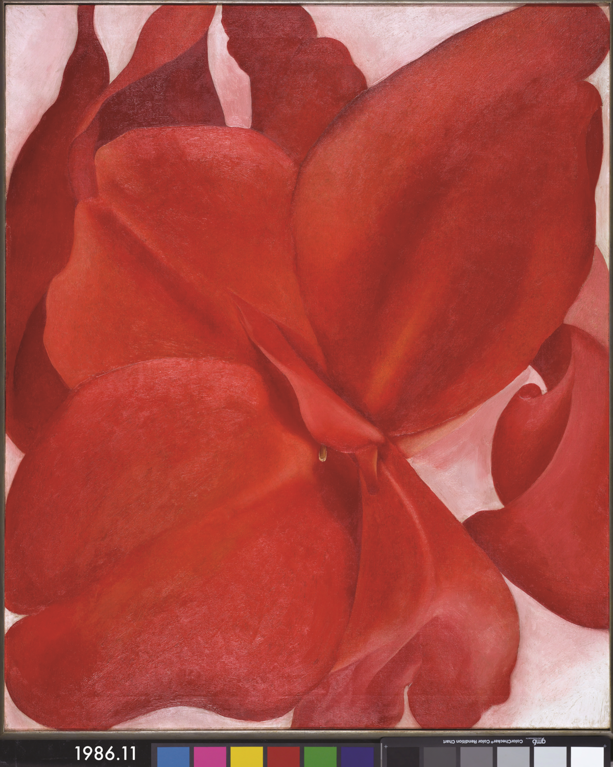 臉譜出版《形與色的故事》〈After Georgia O’Keeffe’s Flower, copyright ©2017 Gail Levin〉