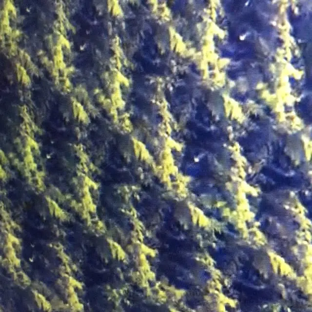 Instagram video, 2016-08-12