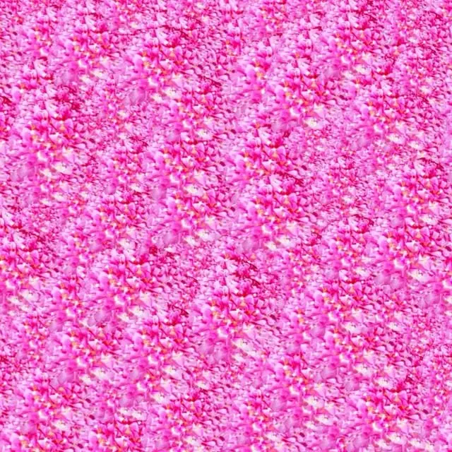 Instagram video, 2016-08-13