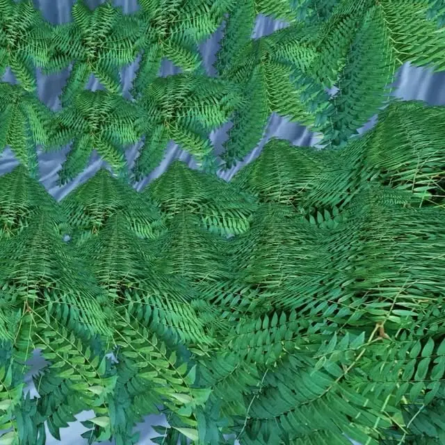Instagram video, 2016-10-04