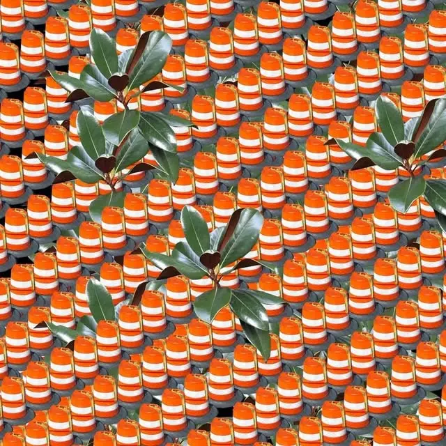 Instagram video, 2016-10-19