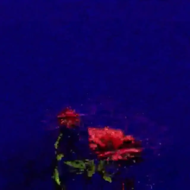 Instagram video, 2018-09-27
