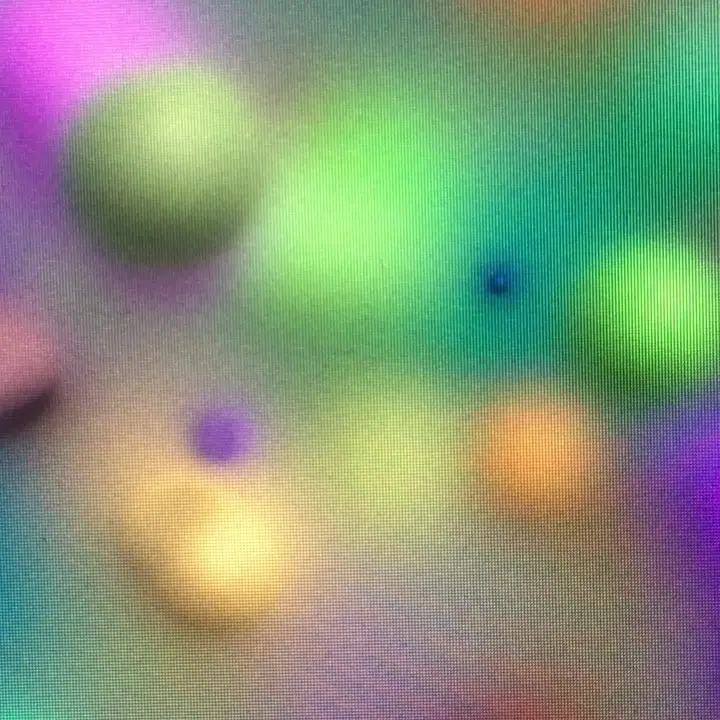 Instagram video, 2019-03-05
