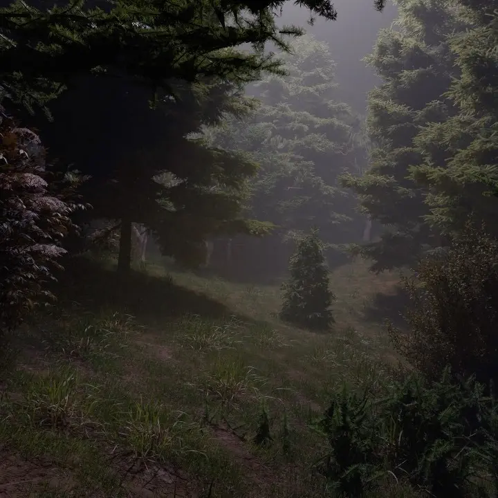 Instagram video, 2022-01-18