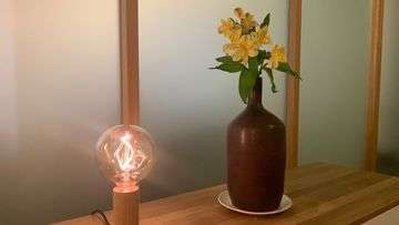 Flower and lamps