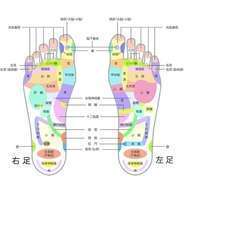 Reflexology img01