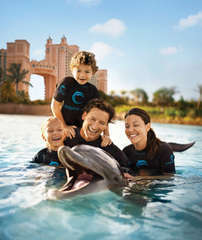 Dolphincay family dolphin