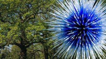 Chihuli 0