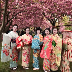 Sakura matsuri 2019 dancejapan