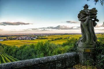 Weinort deidesheim k