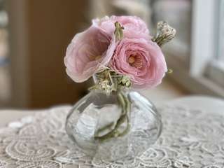 Ranunculus01