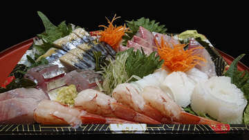 Sashimi sp