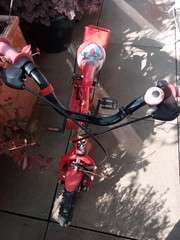 Bike1