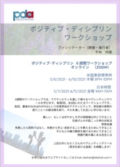 Pdj flyer