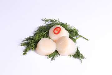 Scallop meat