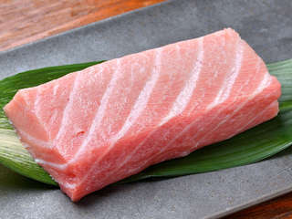 Toro ootoro bluefin bf 003 1000 750