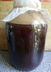 Scoby 2