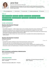 Executive resume template