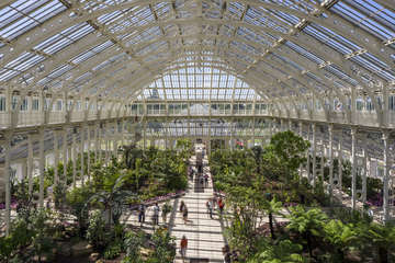 Temperate house
