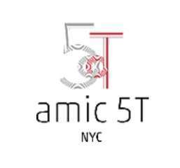 Amic logo