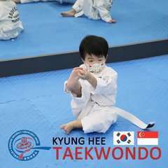 Kyunghee taekwondo 3