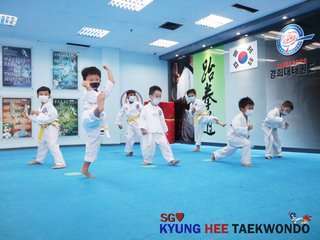 Kyunghee taekwondo 9