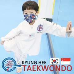 Kyunghee taekwondo 1