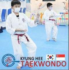 Kyunghee taekwondo 2m