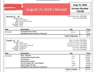 A. 08 14 2023 both receipts