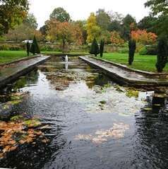 Pond at manor fields 01