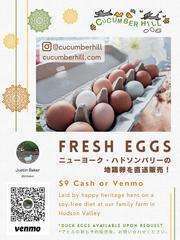 Cucumberhill egg sales poster