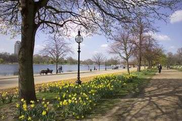 Hyde park walkway