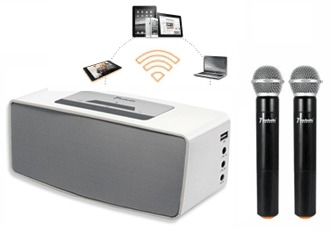 Enceinte karaoke micro sans fil