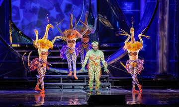 Will liverman as papageno in a scene from mozart s the magic flute. photo ken howard  met opera