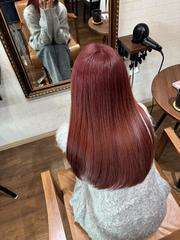 Img 4154