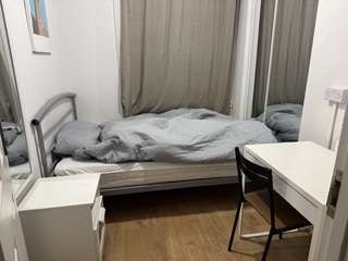 Img 7770