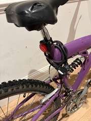 Img 4972
