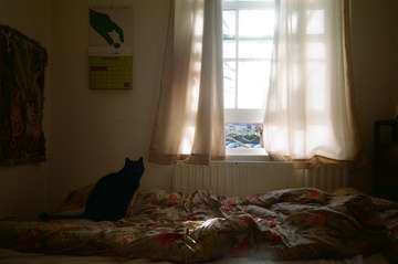 Img 8906