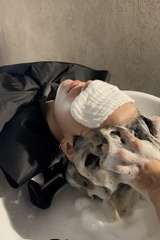 Img 0384