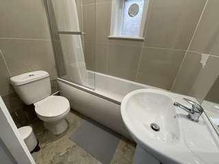 Img 6519