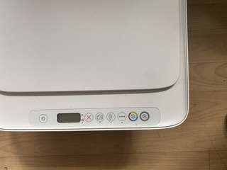 Img 4374